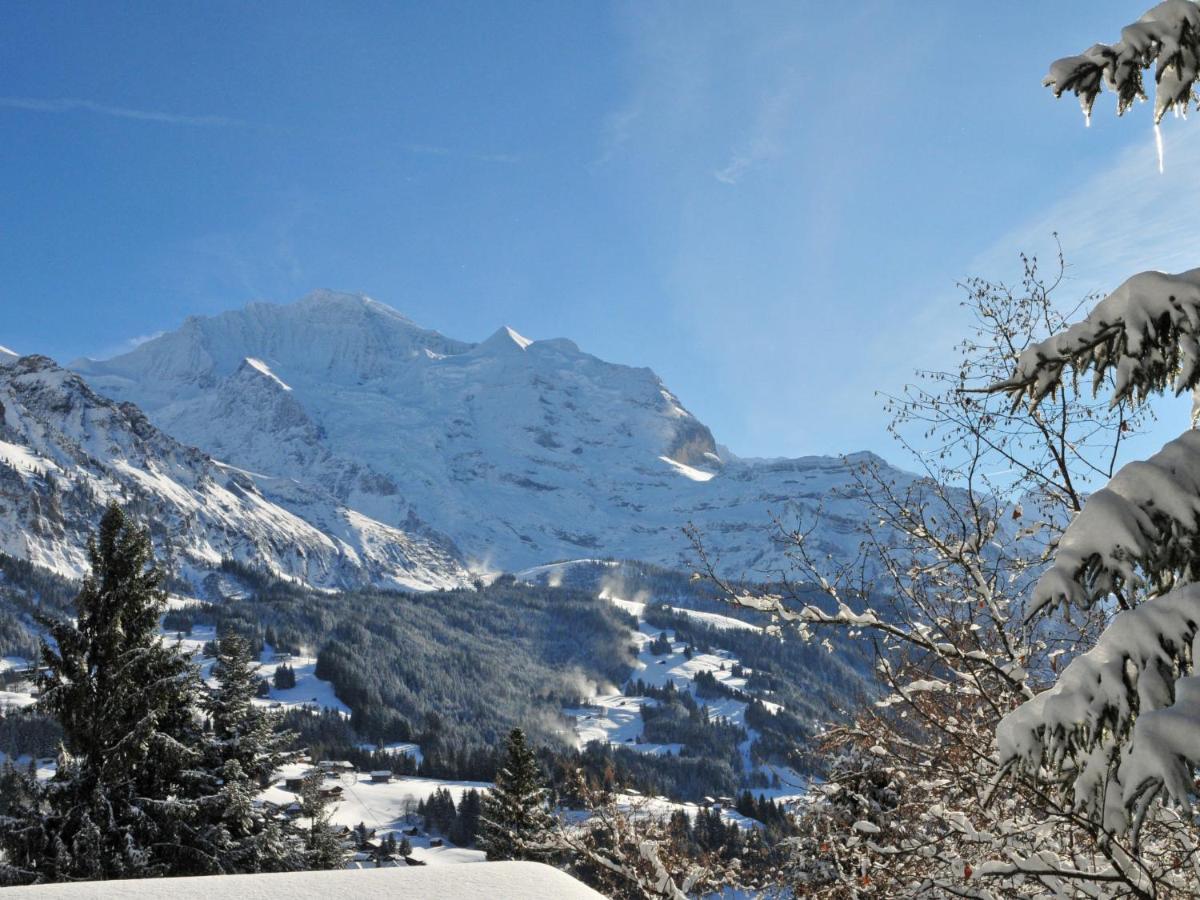 Apartment Fortuna By Interhome Wengen Exterior foto
